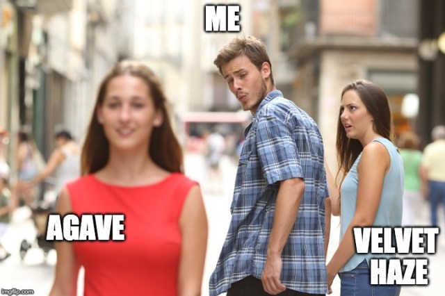 guy and other girl meme